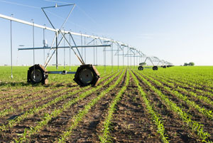 Support the Healthy Food Amendment to the Farm Bill